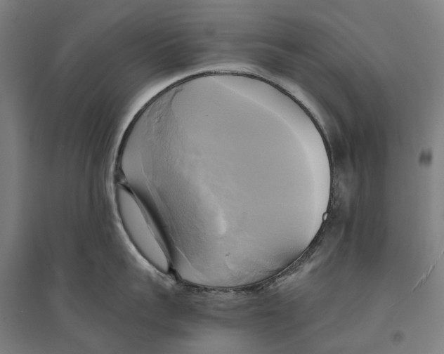 X0000094370959200711301445