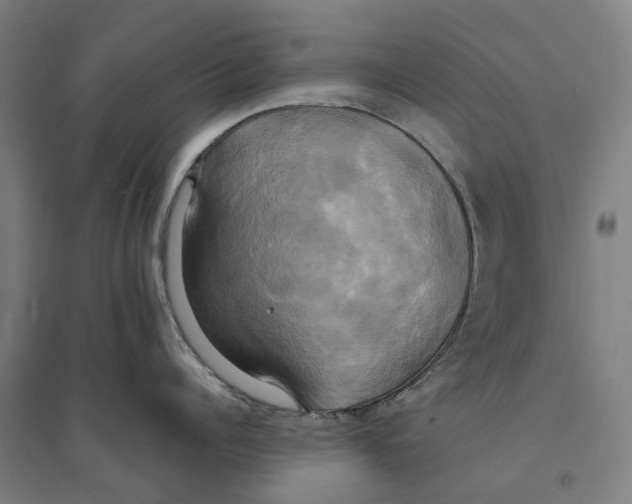 X0000094370960200711301445