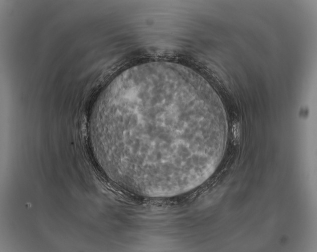 X0000094370963200711301444