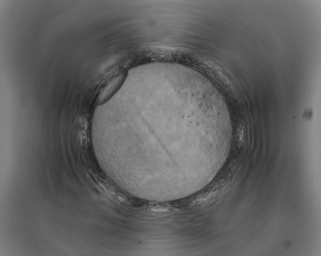 X0000094370964200711301444