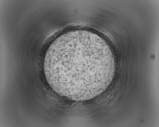 X0000094370967200711301444