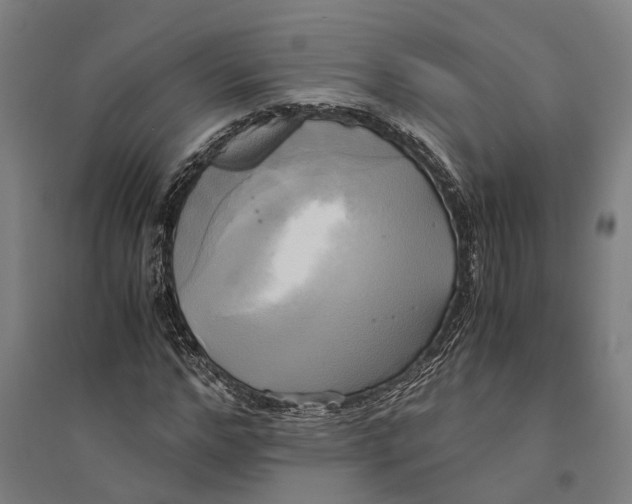 X0000094370968200711301444