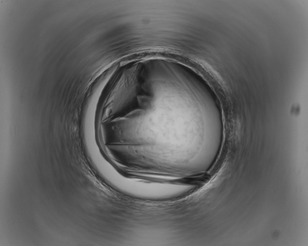 X0000094370969200711301444