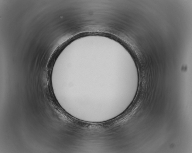 X0000094370974200711301444