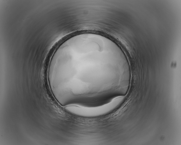 X0000094370975200711301444