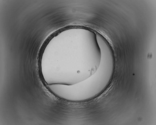 X0000094370976200711301444