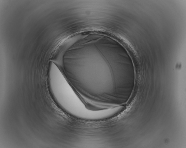 X0000094370977200711301444