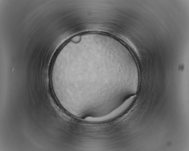 X0000094370980200711301444