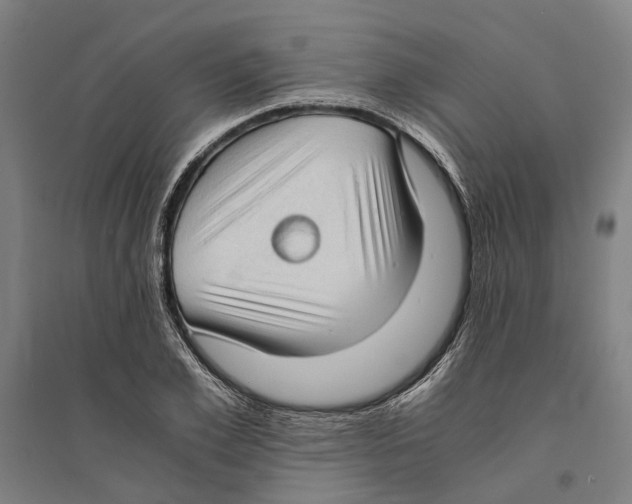 X0000094370981200711301444