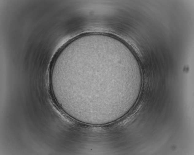 X0000094370982200711301444