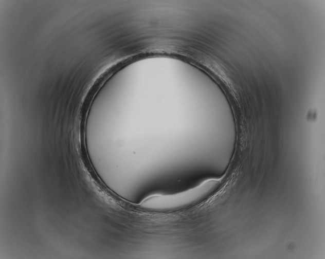 X0000094370984200711301444