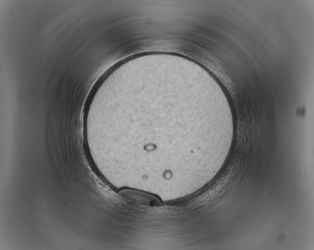 X0000094370988200711301444