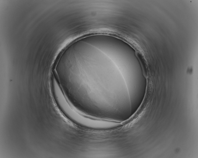 X0000094370989200711301444