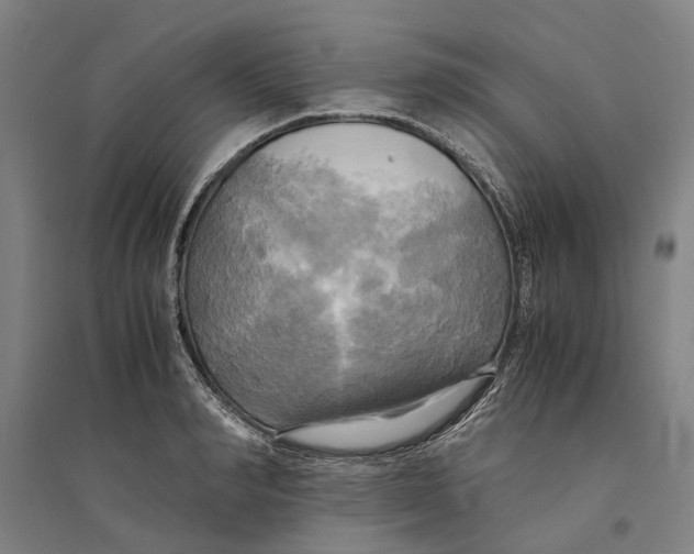 X0000094370990200711301444