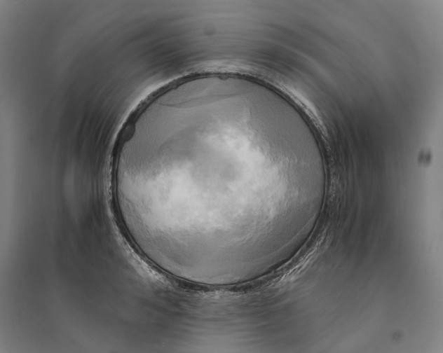 X0000094370992200711301444