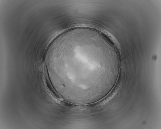 X0000094370993200711301444