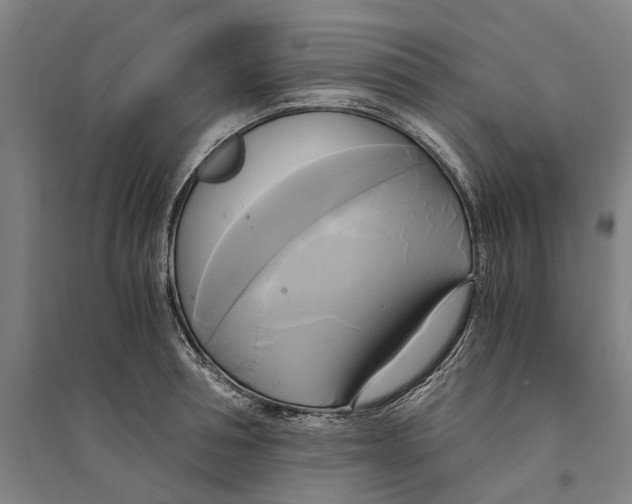 X0000094370994200711301444