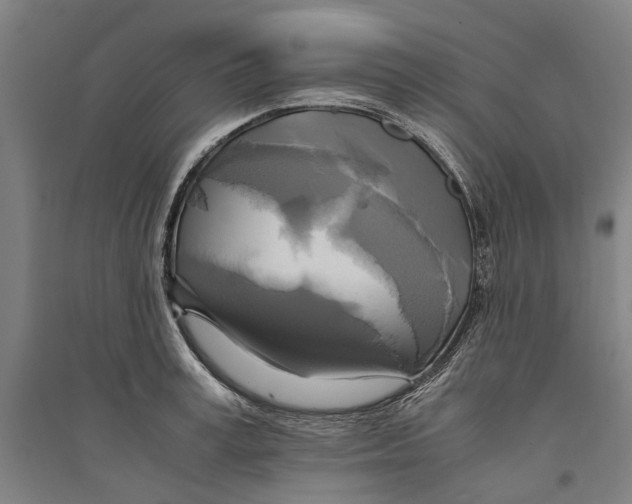 X0000094370995200711301444