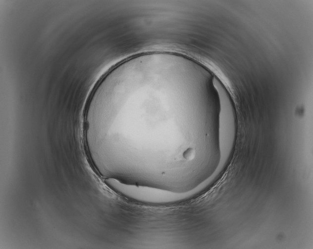 X0000094370996200711301444