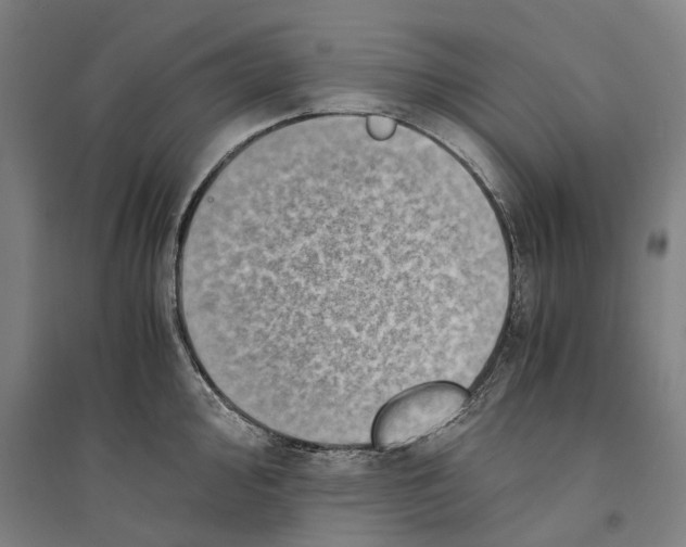 X0000094371000200711301444