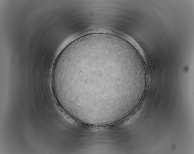 X0000094371002200711301444