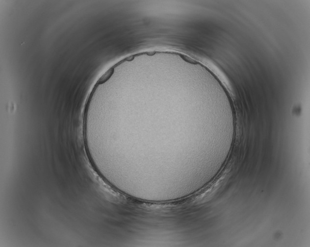 X0000094371004200711301444