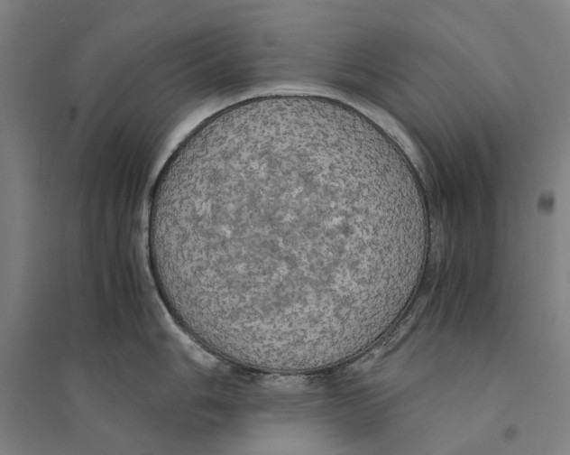 X0000094371006200711301444