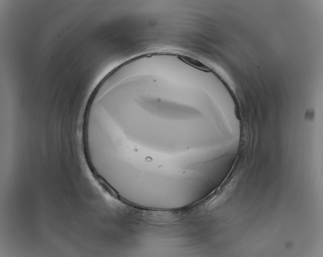 X0000094371007200711301444