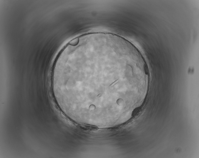 X0000094371008200711301444