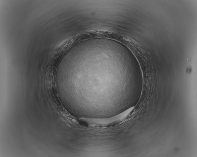 X0000094371014200711301443