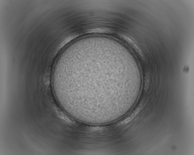 X0000094371017200711301443