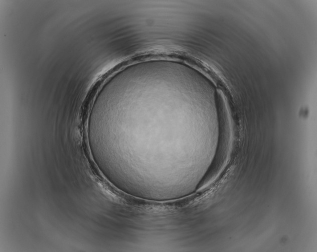 X0000094371018200711301443