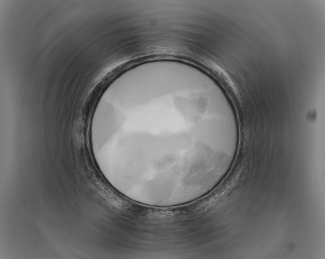 X0000094371019200711301443