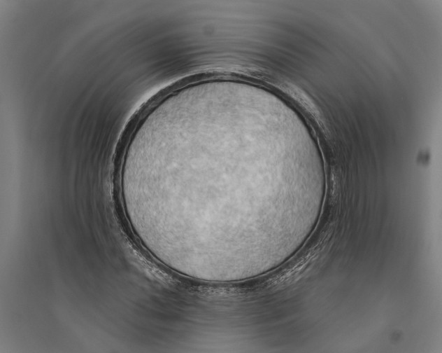 X0000094371020200711301443