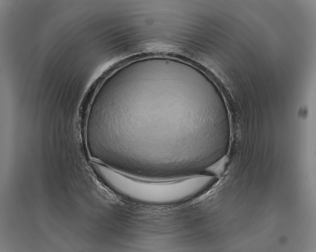 X0000094371022200711301443