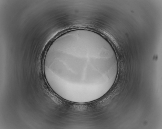 X0000094371023200711301443