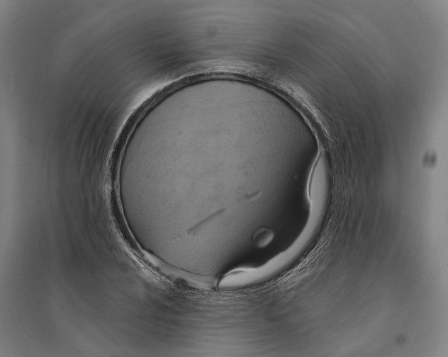 X0000094371024200711301443