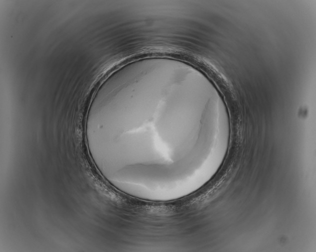 X0000094371025200711301443