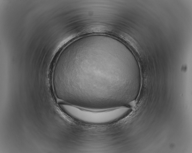 X0000094371026200711301443