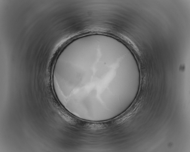 X0000094371027200711301443