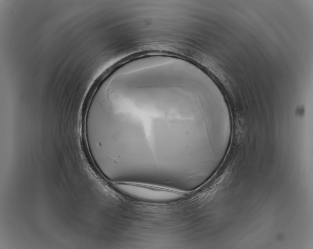 X0000094371028200711301443