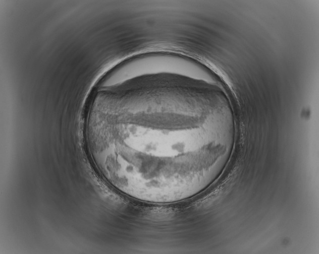 X0000094371029200711301443