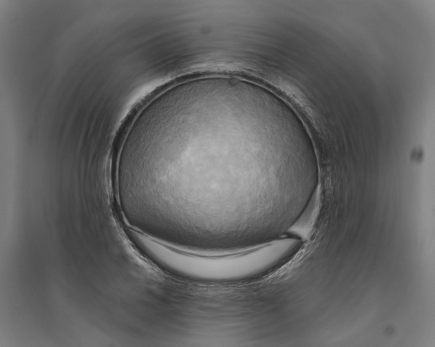 X0000094371030200711301443