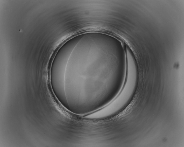 X0000094371034200711301444