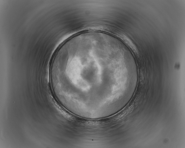 X0000094371036200711301444