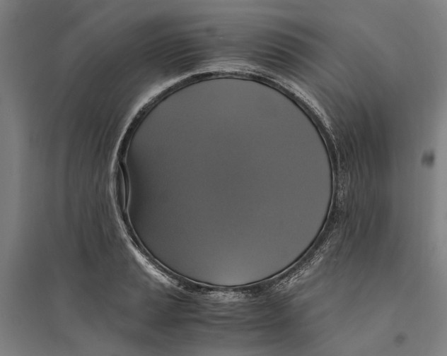 X0000094371037200711301444