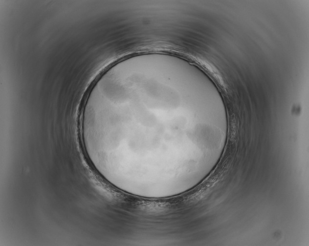 X0000094371039200711301444