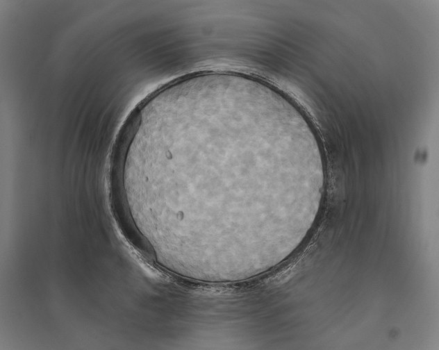 X0000094371040200711301444