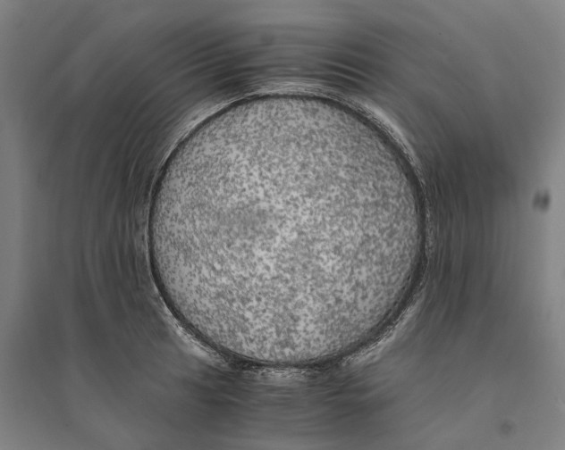 X0000094371041200711301444