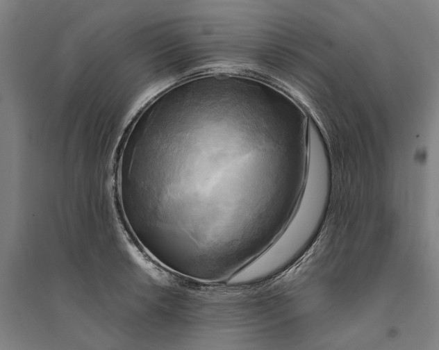 X0000094371042200711301444